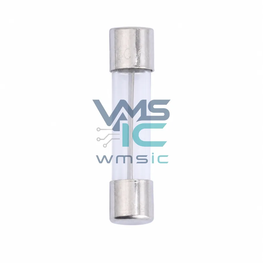 Glass Tube Fuse 6G.1000210000S1 D6.4xL30mm
