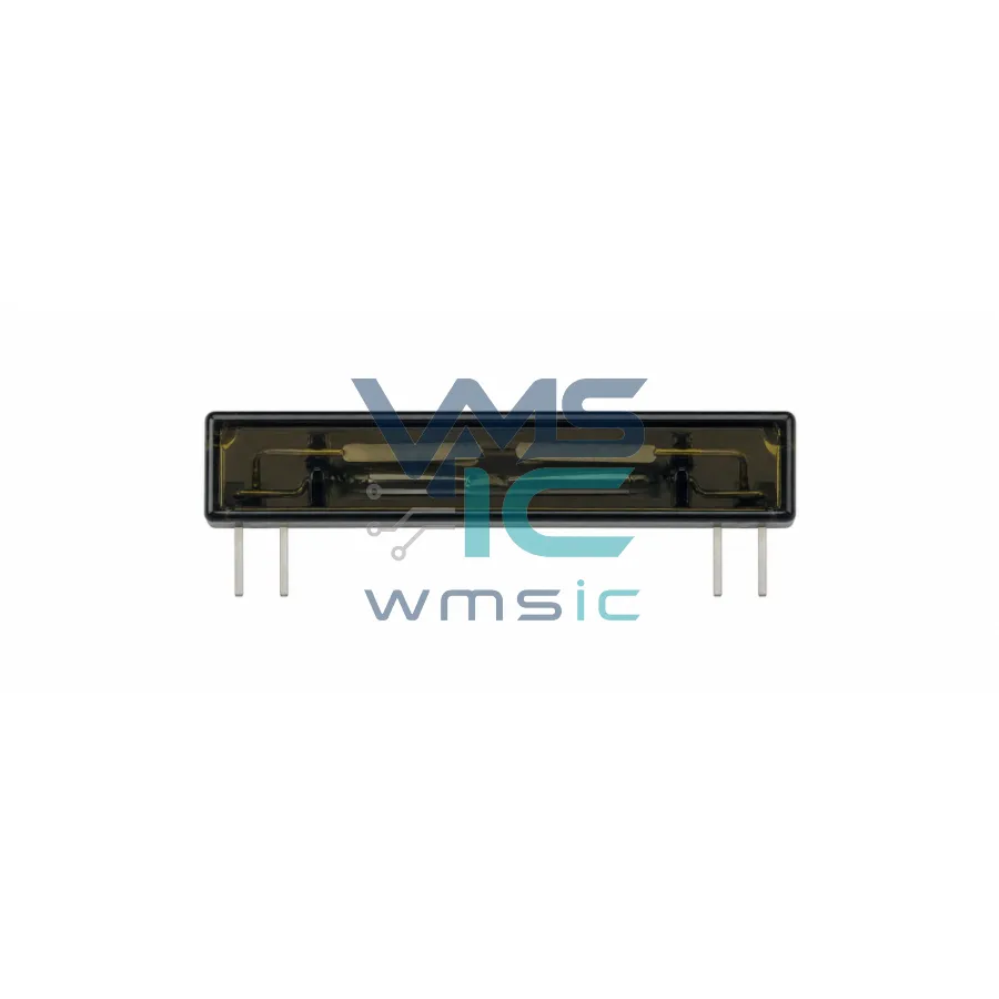 HE24-1A69-02 High Voltage Reed Relay 24VDC Single Pole HE24 Through Hole 65x14.5mm