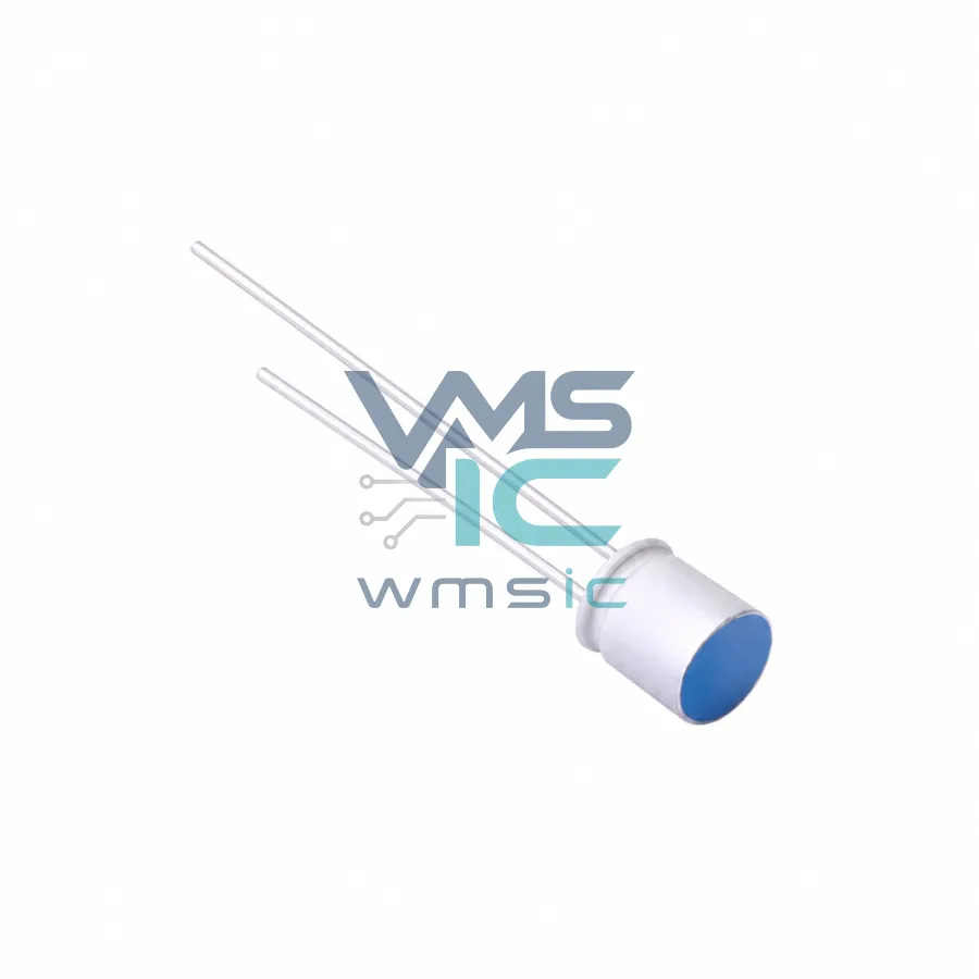 100uF 16V+/- 20% Conductive Polymer Solid Capacitor HS101M160D060R1Z00ZZ Through Hole D5xL6mm
